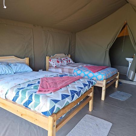 Oloirien Tented Camp Hotell Mara Simba Eksteriør bilde