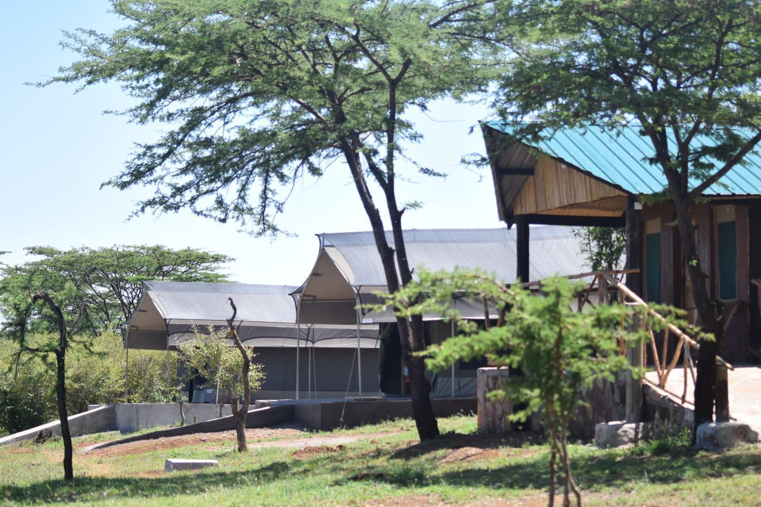 Oloirien Tented Camp Hotell Mara Simba Eksteriør bilde